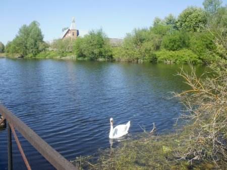 Отдых на чистых озерах Белоруссии, для души и тела.
