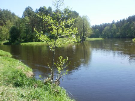 Отдых на чистых озерах Белоруссии, для души и тела.