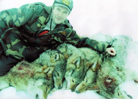 Фото трофеев охоты на волка