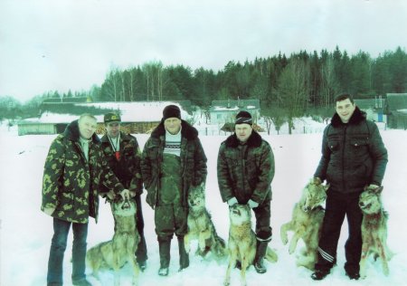 Photo of trophies of hunting for a wolf